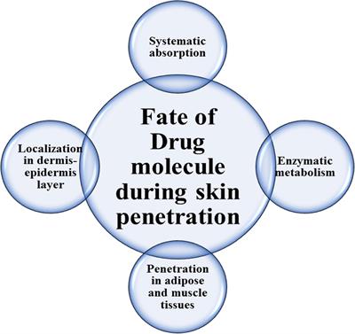 Enhancing Permeation of Drug Molecules Across the Skin via Delivery in Nanocarriers: Novel Strategies for Effective Transdermal Applications